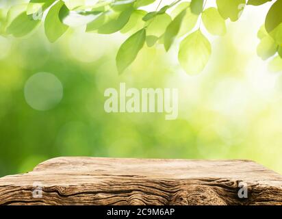 Fuoco selettivo del vecchio piano del piano del piano del moncone ad albero su sfondo verde sfocato dell'albero.Per creare la visualizzazione del prodotto o il layout visivo chiave del progetto. Foto Stock