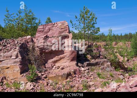 Un frammento di una roccia di quarzite di lamponi in una vecchia cava in un giorno soleggiato di giugno. Kvartsitniy, Carelia Foto Stock