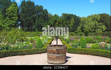 Bella aranciata al romantico castello rosa di Duesseldorf Schloss Benrath con un bellissimo parco e sculture impressionanti Foto Stock