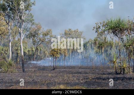 Un'operazione di back burning in corso con vegetazione annerita e fumo nei pressi di Darwin, Northern Territory, NT, Australia Foto Stock