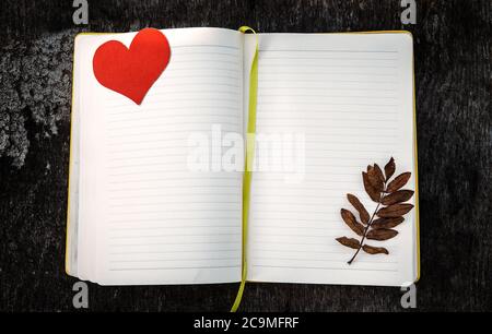 Tastierino di scrittura vuoto con forma a cuore rosso e foglia autunnale sullo sfondo Grunge Foto Stock