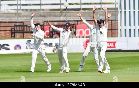 Brighton UK 1 agosto 2020 - i fielders dell'Hampshire festeggiano mentre Keith Barker cattura Tom Haines del Sussex del wicket durante il giorno uno della partita di cricket tra Sussex e Hampshire nel Bob Willis Trophy che si svolge a porte chiuse senza tifosi che partecipano al 1 ° terreno della contea centrale In Hove : Credit Simon Dack / Alamy Live News Foto Stock