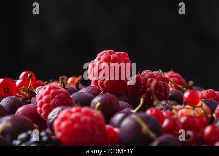 Gustosi lamponi freschi maturi, mora, uva spina e bacche di ribes rosso, sana struttura alimentare su sfondo nero, macro angolo vista Foto Stock