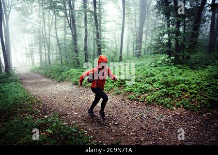 Donna di mezza età, indossando abiti da esterno, che corre attraverso la foresta nebbiosa. Foto Stock