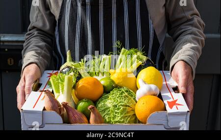 Uomo che indossa grembiule che consegna scatola di frutta e verdura fresca: cavolo sabaudo, scalogni, arance, limoni, limoni, finocchio, melanzana Foto Stock