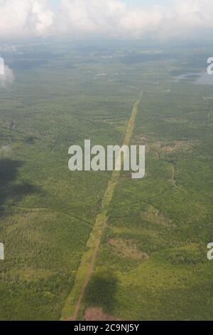 Percorso della linea elettrica nella foresta, vista aerea Foto Stock