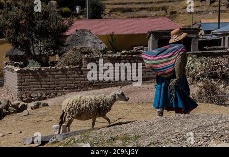 ISLA DEL Sol, BOLIVIA - 26 LUGLIO 2016: Una donna Boliviana con un tipico 'aguayo' cammina le sue pecore nel lato nord dell'Isla del Sol, Bolivia Foto Stock
