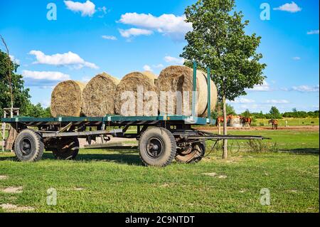 Un vecchio rimorchio con balle di paglia in piedi in un prato. Foto Stock