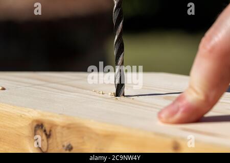 Un ritratto closeup di una persona che fora un buco in un pezzo di legno di pino. La punta per legno si è già tagliata una punta nella tavola di legno, là un Foto Stock