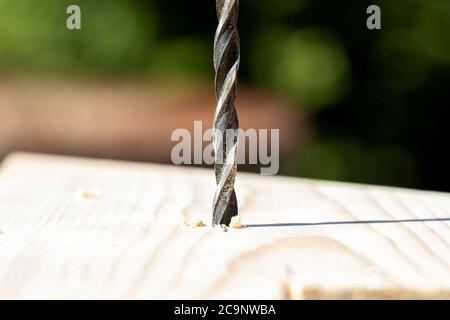 Un ritratto closeup di un trapano che fora un foro in una tavola di legno. La punta per legno è piena di polvere di legno e sul fianco sono presenti alcuni trucioli di legno. Foto Stock