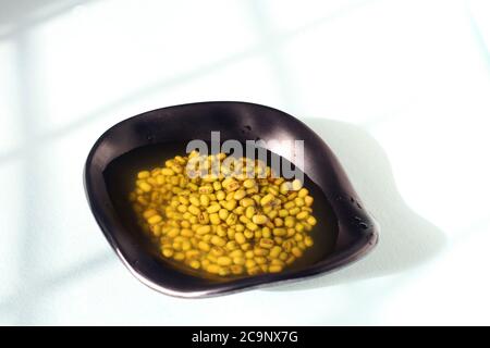 Grammo verde imbevuto sano, grammo verde in una ciotola nera su sfondo isolato, fagioli verdi in acqua Foto Stock