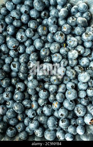 Bacche nere fresche o mirtilli fotografati dall'alto. Primo piano di fragole fresche e salutari. Foto Stock