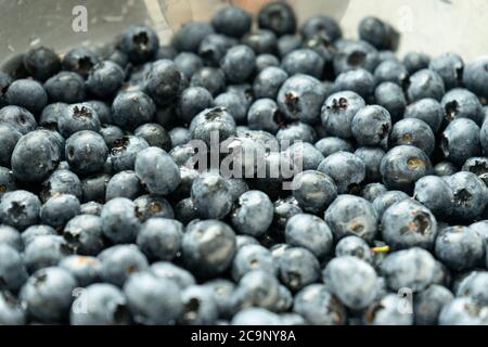 Bacche nere fresche o mirtilli fotografati dall'alto. Primo piano di fragole fresche e salutari. Foto Stock