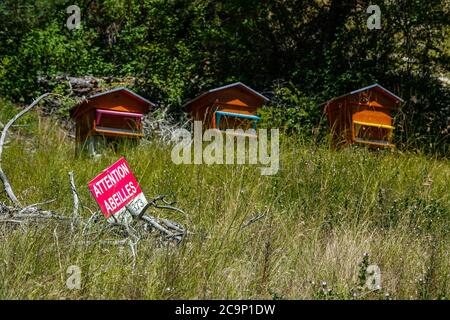 Tre colorati alveari e un segnale di avvertimento, Attention Abeilles, Maurienne, Francia Foto Stock