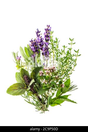 Erbe su sfondo bianco. Basilico, salvia, timo, rosmarino, menta, lavanda Foto Stock