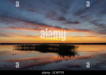 Parco Nazionale di Lahemaa, Estonia,. Il parco più grande dell'Estonia. Fu il primo parco nazionale dell'ex Unione Sovietica. Foto Stock