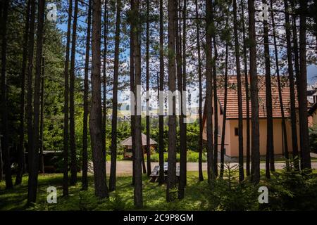 Zlatibor, Serbia - Luglio 25. 2020 fitta pineta e attraverso il suo hotel e le case in lontananza in una località naturale a Zlatibor, Serbia Foto Stock