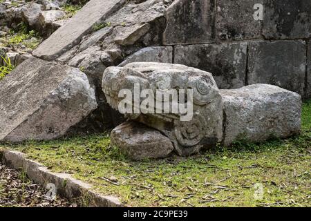 Un giaguaro di pietra testa presso la piattaforma di Venere sulla piazza principale delle rovine della grande città maya di Chichen Itza, Yucatan, Messico. Foto Stock