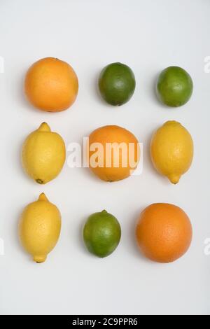 CITRUS PARTY: Una collezione di arance, lime e limoni sono disposti in un piano steso su uno sfondo bianco puro. Foto Stock