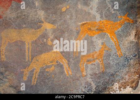 Boscimani (san) pittura rupestre di antilopi africani, Sudafrica Foto Stock