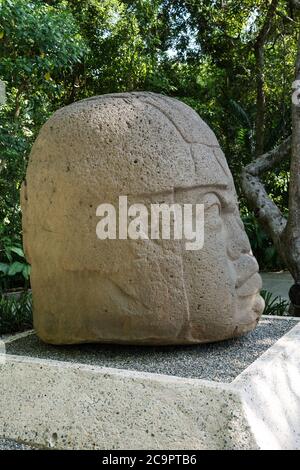 Una gigantesca testa di pietra scolpita dalle rovine Olmec di la Venta. Periodo preclassico (700-400 a.C.). Museo la Venta, Villahermosa, Messico. Foto Stock