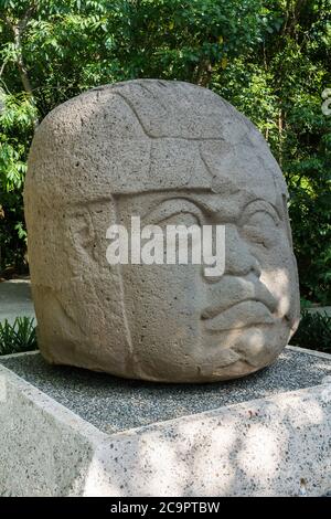 Una gigantesca testa di pietra scolpita dalle rovine Olmec di la Venta. Periodo preclassico (700-400 a.C.). Museo la Venta, Villahermosa, Messico. Foto Stock