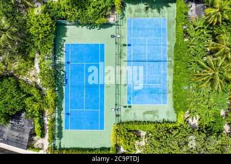 Incredibile vista ad occhio di uccello di un campo da tennis circondato da palme. Campi da tennis aerei, sport all'aperto e concetto di ricreazione Foto Stock