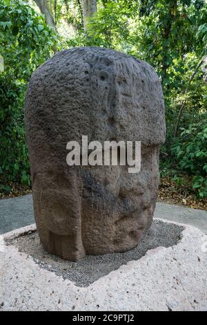 Monumento 3, il giovane guerriero, dalle rovine Olmec di la Venta. Periodo preclassico (700-400 a.C.). Museo la Venta, Villahermosa, Messico. Foto Stock