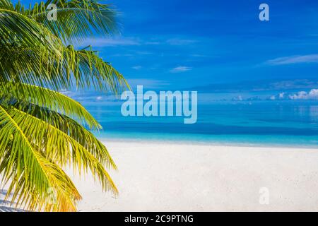 Bella spiaggia di palme, mare. Vacanza estiva e vacanza concetto sfondo. Design del paesaggio tropicale ispirato. Turismo e design di viaggio Foto Stock