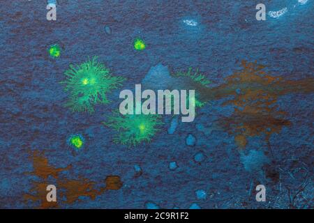 Astratto arte sfondo blu navy e colori verdi. Pittura ad acquerello su tela con macchie marroni e sfumatura. Frammento di disegno in denim su carta w Foto Stock