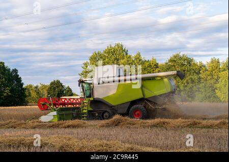 Una mietitrebbia in estate durante la mietitura dei cereali Foto Stock
