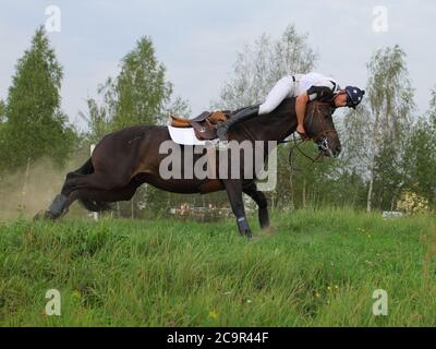 Cavaliere che cade da un cavallo Foto Stock