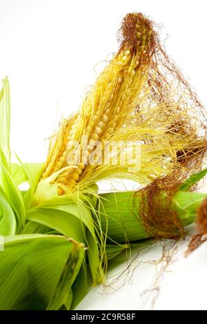 COB mais dolce fresco con foglie quasi sbucciate. Messa a fuoco selettiva con profondità di campo ridotta. Foto Stock