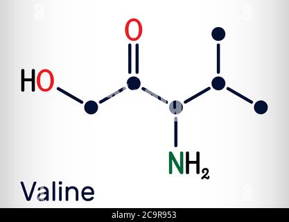 Valina, Val, L-valina molecola aminoacidica. È usato nella biosintesi delle proteine. Formula chimica strutturale. Illustrazione vettoriale Illustrazione Vettoriale