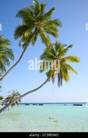 Piccola isola nelle Maldive coperta da palme e circondata da acque turchesi blu con bellissimi coralli e animali, perfetta fuga dal Foto Stock