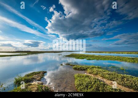 Il salmarsh costiero del Norfolk è allagato con l'alta marea. Foto Stock