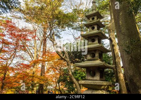 Kanazawa, Giappone. Kenroku-en, un vecchio giardino privato, e uno dei tre grandi giardini del Giappone (Nihon Sanmeien), durante l'autunno Foto Stock