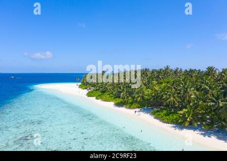 Piccola isola nelle Maldive coperta da palme e circondata da acque turchesi blu con bellissimi coralli e animali, perfetta fuga dal Foto Stock