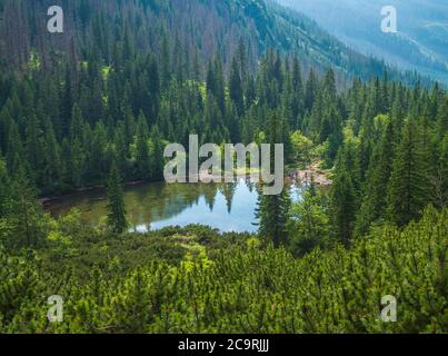 Vista su Tatliakovo jezero o pleso, lago di montagna nelle montagne occidentali Tatra, Rohace Slovacchia. Bella foresta di abete rosso e montagna picco paesaggio Foto Stock