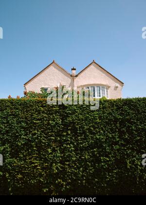 Un tipico a forma di M / Double Pitched / doppio tetto timpano suburbano casa architettura di proprietà mezzo nascosto dietro un alto giardino verde siepe & cielo blu. Foto Stock