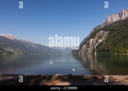 Vista sul Walensee (Lago Walen) vicino a Walenstadt, Svizzera. Foto Stock
