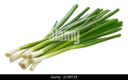 Cipolla verde, erba cipollina fresca isolata su fondo bianco Foto Stock