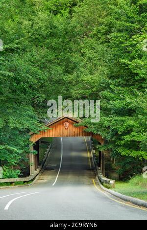 Un ponte coperto accoglie i visitatori della Piercé Stocking Scenic Drive presso il Sleeping Bear National Lakeshore, Glen Arbor, MI Foto Stock