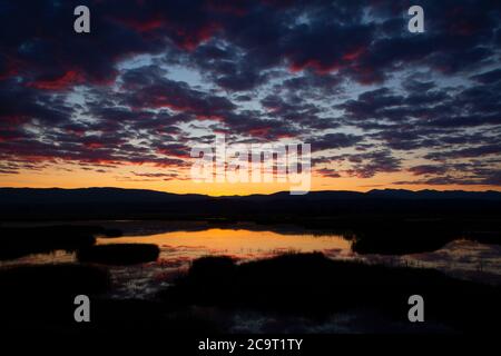 Myrtle Pond alba da tour Road, Kootenai National Wildlife Refuge, Idaho Foto Stock