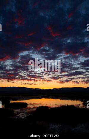 Myrtle Pond alba da tour Road, Kootenai National Wildlife Refuge, Idaho Foto Stock