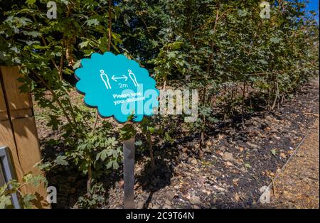 Blue 2m segno di promemoria sociale di distanza per i visitatori di Wakehurst, giardini botanici in West Sussex gestito dai Royal Botanic Gardens, Kew Foto Stock