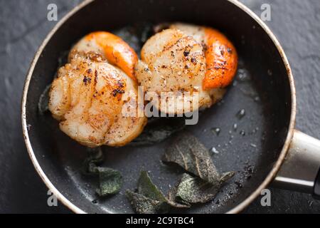 Due capesante di re, Pectens maximus, con le loro arance, che sono state fritte in una piccola padella antiaderente con burro e foglie di salvia. Dorset it Foto Stock