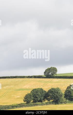 Una formazione piuttosto minacciosa di nuvole scure si stabilì su un campo di collina lontano / terreno agricolo nel Regno Unito. Per il colonnello britannico, raccogliendo nubi tempesta Foto Stock