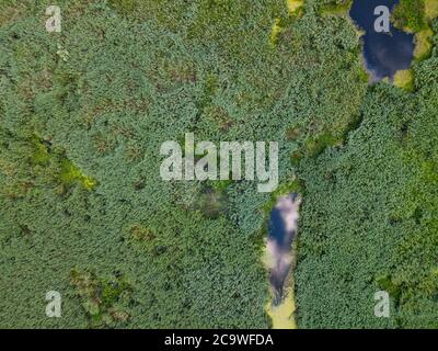 Delta del Danubio nel villaggio di Somova, regione di Dobrogea, Romania. Vista aerea. Foto Stock