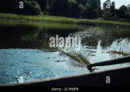 gli atleti in vacanza sono impegnati nel canottaggio, nuotatori su remi di legno colpire l'acqua, spruzzando un sacco di gocce intorno Foto Stock